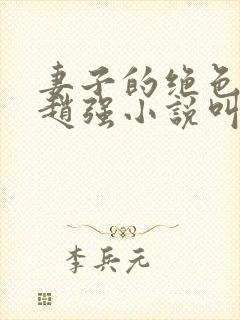 妻子的绝色兰姨赵强小说叫什么名字