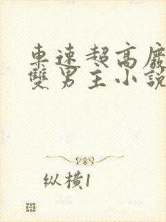 车速超高废文的双男主小说在线阅读