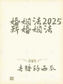 婚姻法2025新婚姻法