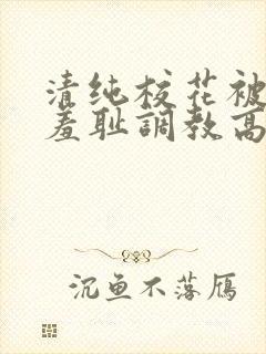 清纯校花被民工羞耻调教高hby留意zzz