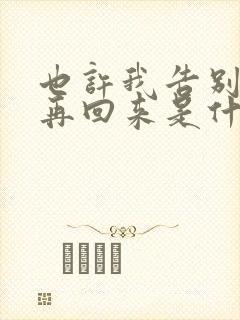 也许我告别将不再回来是什么歌词