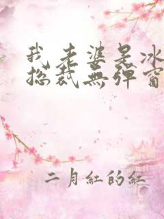 我老婆是冰山女总裁无弹窗