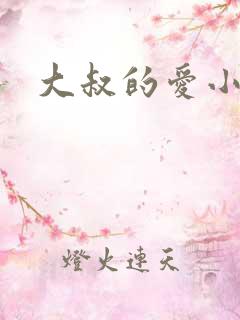 大叔的爱小说