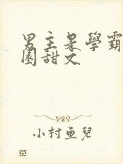 男主是学霸的校园甜文