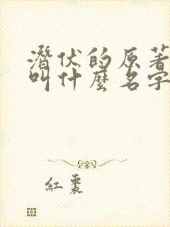 潜伏的原著小说叫什么名字