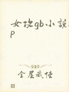 女攻gb小说np