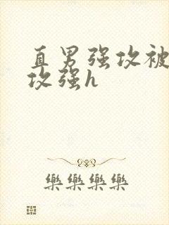直男强攻被强被攻强h