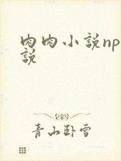 肉肉小说np小说