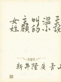 女主叫温柔男主姓顾的小说