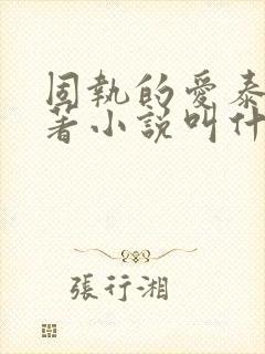 固执的爱泰剧原著小说叫什么