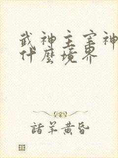 武神主宰神帝是什么境界