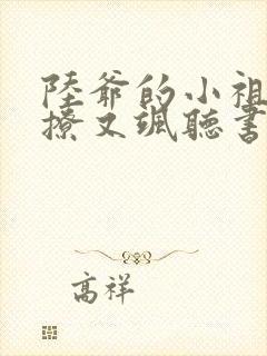 陆爷的小祖宗又撩又飒听书全文