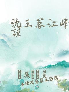 沈玉蓉江峰的小说