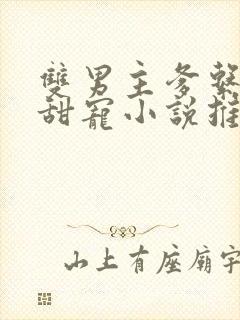 双男主爹系男友甜宠小说推荐