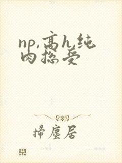 np,高h,纯肉总受