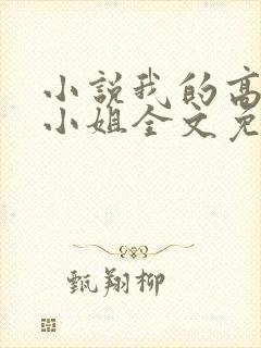 小说我的高冷大小姐全文免费阅读