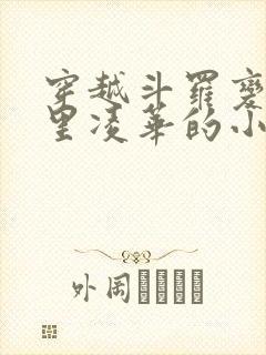 穿越斗罗变成神里凌华的小说