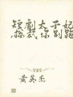 短剧太子妃驾到,总裁你别跑