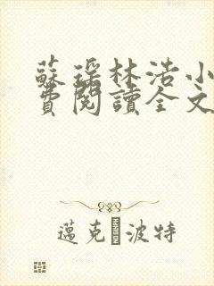 苏瑶林浩小说免费阅读全文最新章节