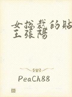 女总裁的贴身兵王张阳