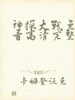 神探大战免费观看高清完整