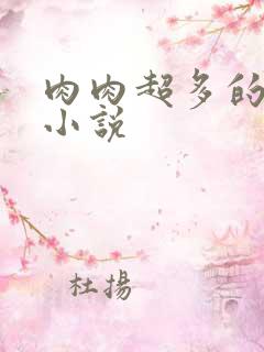 肉肉超多的言情小说
