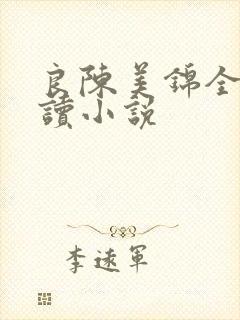 良陈美锦全文阅读小说