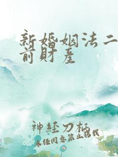 新婚姻法二婚婚前财产