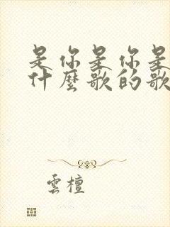 是你是你是你是什么歌的歌词