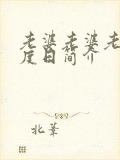 老婆老婆老婆东度日简介