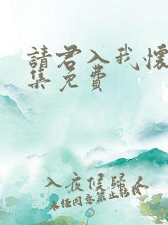 请君入我怀62集免费