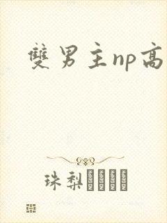 双男主np高h