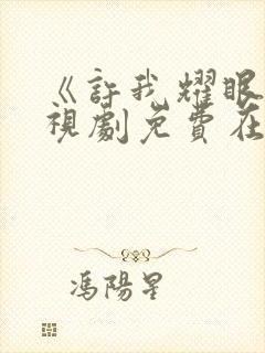 《许我耀眼》电视剧免费在线观看