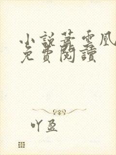 小说萧云凰初影免费阅读