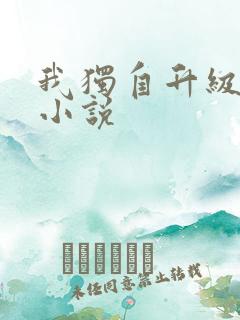 我独自升级原著小说