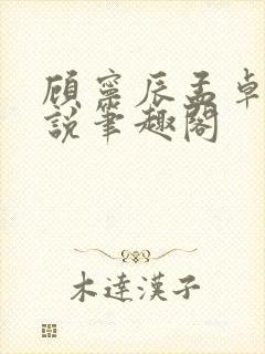 顾宁辰孟卓钰小说笔趣阁