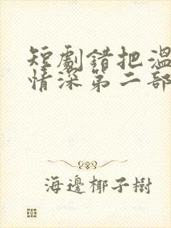 短剧错把温柔当情深第二部全集播放在线观看