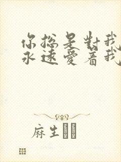 你总是对我说你永远爱着我什么歌