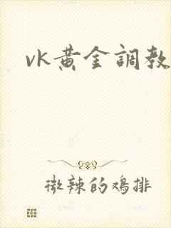 vk黄金调教