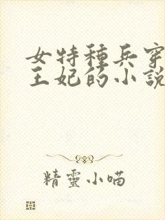 女特种兵穿越成王妃的小说