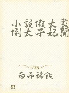 小说假太监从推倒太子妃开始李显目录