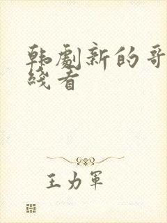 韩剧新的哥哥在线看