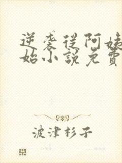 逆袭从阿姨家开始小说免费阅读