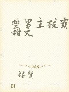 双男主校霸校园甜文