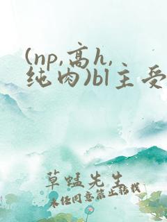(np,高h,纯肉)bl主受