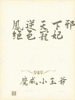 凤逆天下邪帝的绝色宠妃