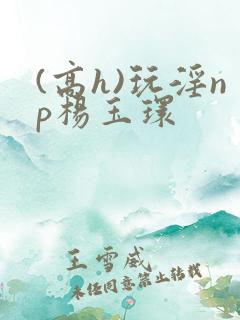 (高h)玩淫np杨玉环