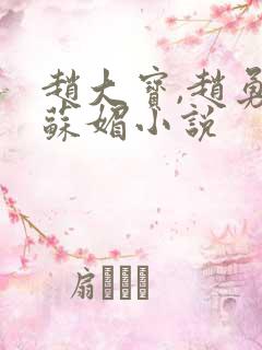 赵大宝,赵勇,苏媚小说