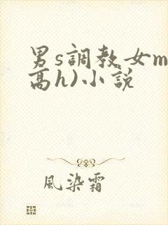 男s调教女m(高h)小说