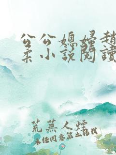 公公媳妇赵刚苏柔小说阅读